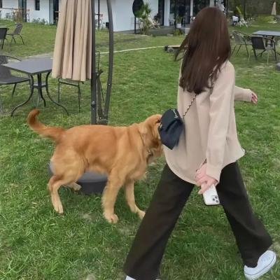 能耐大了第一季